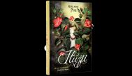Iluzii. Seria Aripi. Vol. 3 - Aprilynne Pike