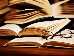 Executor Judecatoresc BANEA ALEXANDRU  