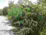 Inginerie marca RAJDP Indicator rutier invizibil amplasat într-o curbă deosebit de periculoasă! (document)  