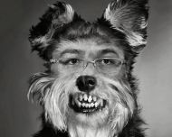 Despre câini și fățărnicie    