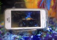 OtterBox Protectie la praf si apa pentru aproape orice smartphone