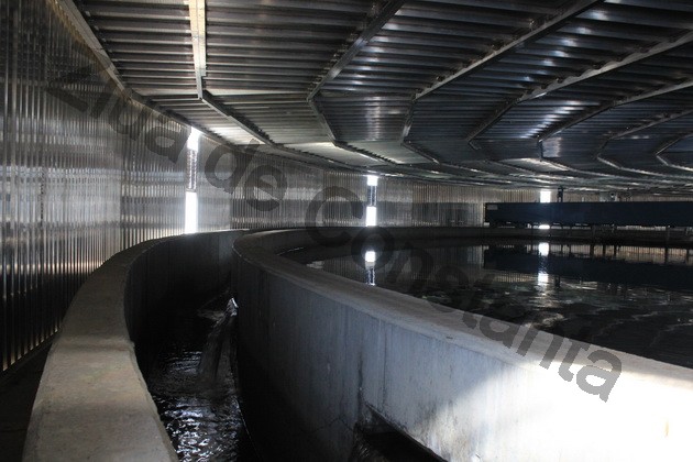 o noua etapa de progres tehnologic secretarul de stat gabriel onaca raja sa constanta este cel mai bun o noua etapa de progres tehnologic secretarul de stat gabriel onaca raja sa constanta este cel mai bun