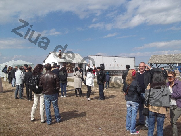 winero a inceput campania de recoltat cu o sarbatoare vinurile alira omagiate de celebritati ale romaniei winero a inceput campania de recoltat cu o sarbatoare vinurile alira omagiate de celebritati ale romaniei