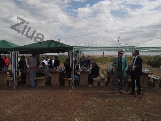 winero a inceput campania de recoltat cu o sarbatoare vinurile alira omagiate de celebritati ale romaniei winero a inceput campania de recoltat cu o sarbatoare vinurile alira omagiate de celebritati ale romaniei