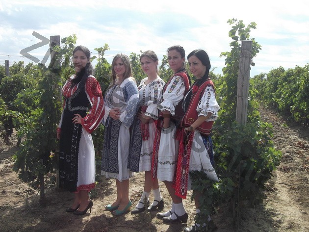 winero a inceput campania de recoltat cu o sarbatoare vinurile alira omagiate de celebritati ale romaniei winero a inceput campania de recoltat cu o sarbatoare vinurile alira omagiate de celebritati ale romaniei