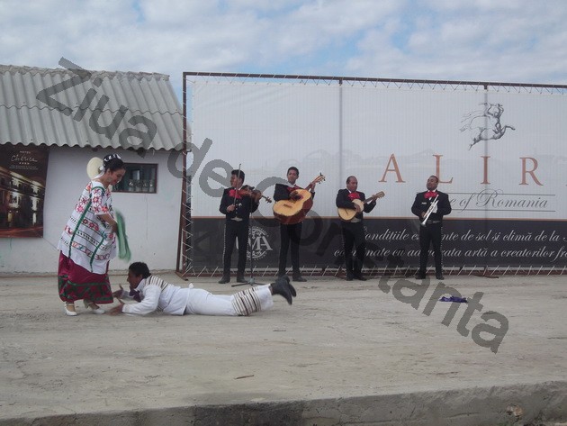 winero a inceput campania de recoltat cu o sarbatoare vinurile alira omagiate de celebritati ale romaniei winero a inceput campania de recoltat cu o sarbatoare vinurile alira omagiate de celebritati ale romaniei