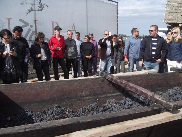 winero a inceput campania de recoltat cu o sarbatoare vinurile alira omagiate de celebritati ale romaniei winero a inceput campania de recoltat cu o sarbatoare vinurile alira omagiate de celebritati ale romaniei