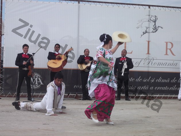 winero a inceput campania de recoltat cu o sarbatoare vinurile alira omagiate de celebritati ale romaniei winero a inceput campania de recoltat cu o sarbatoare vinurile alira omagiate de celebritati ale romaniei