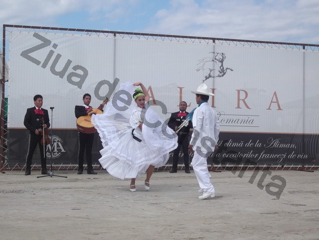 winero a inceput campania de recoltat cu o sarbatoare vinurile alira omagiate de celebritati ale romaniei winero a inceput campania de recoltat cu o sarbatoare vinurile alira omagiate de celebritati ale romaniei