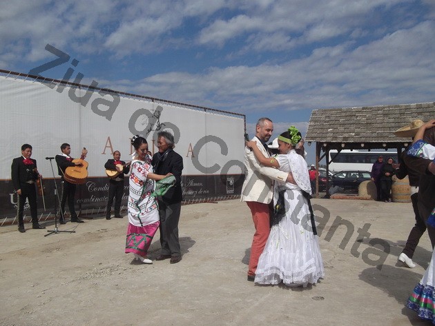 winero a inceput campania de recoltat cu o sarbatoare vinurile alira omagiate de celebritati ale romaniei winero a inceput campania de recoltat cu o sarbatoare vinurile alira omagiate de celebritati ale romaniei