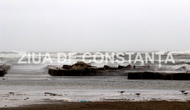 fotoreportaj constanta sub cod portocaliu 471669 fotoreportaj constanta sub cod portocaliu 471669