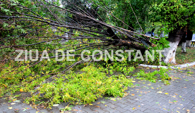 fotoreportaj constanta sub cod portocaliu 471669 fotoreportaj constanta sub cod portocaliu 471669