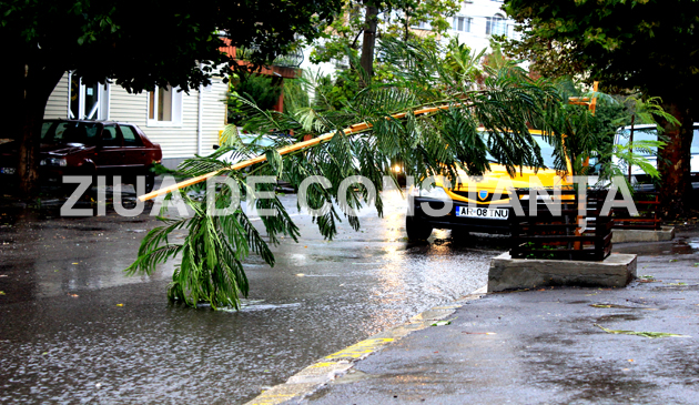 fotoreportaj constanta sub cod portocaliu 471669 fotoreportaj constanta sub cod portocaliu 471669