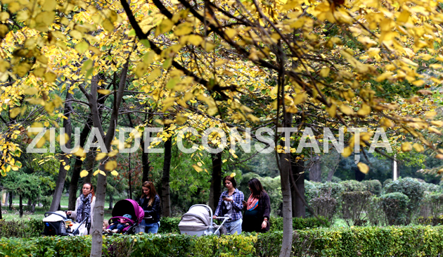 fotoreportaj constanta peisaj autumnal 472983 fotoreportaj constanta peisaj autumnal 472983