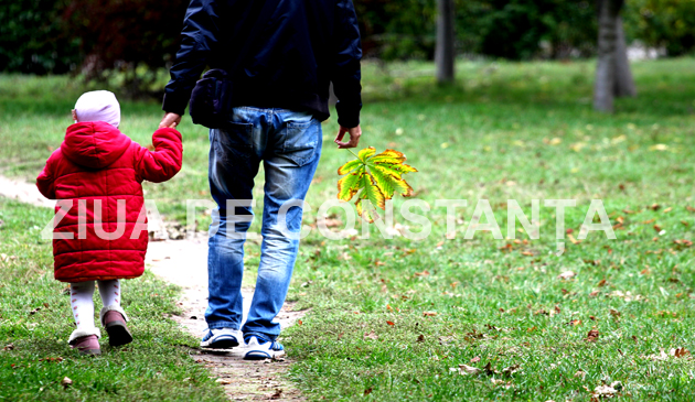 fotoreportaj constanta peisaj autumnal 472983 fotoreportaj constanta peisaj autumnal 472983