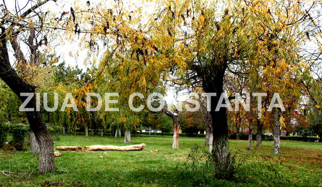 fotoreportaj constanta peisaj autumnal 472983 fotoreportaj constanta peisaj autumnal 472983