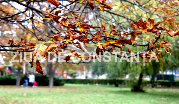 fotoreportaj constanta peisaj autumnal 472983 fotoreportaj constanta peisaj autumnal 472983