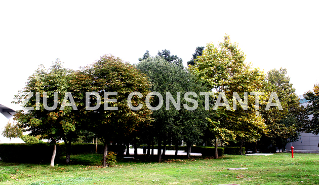 fotoreportaj constanta peisaj autumnal 472983 fotoreportaj constanta peisaj autumnal 472983