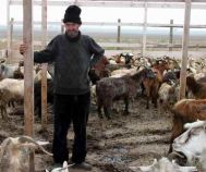 Dezvăluiri.ro Sclavie la Poarta Albă - animale şi oameni ţinuţi în mizerie de un angajat al Arhiepiscopiei Tomisului