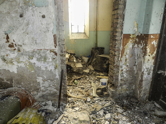 infosudest ro sinagoga din constanta poveste despre intunericul urii si al indiferentei galerie foto infosudest ro sinagoga din constanta poveste despre intunericul urii si al indiferentei galerie foto