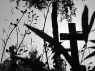 InfoSudEst.ro Despre deshumarea celor adormiți după șapte ani - nu este recomandată de tradiția bisericii, dar este solicitată de oameni