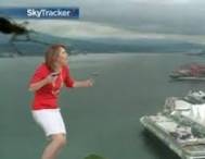 Un păianjen la meteo (video)