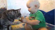 Cele mai amuzante momente cu animalele de companie (video)
