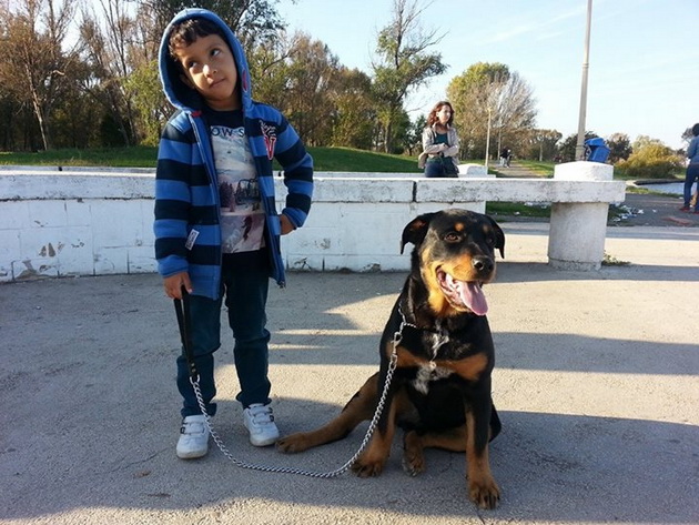 un antrenor jucator de fotbal si un tenisman s au casatorit pe litoral sportivii africani din constanta un antrenor jucator de fotbal si un tenisman s au casatorit pe litoral sportivii africani din constanta