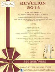 Revelion 2014 la Casa Ana din Mamaia