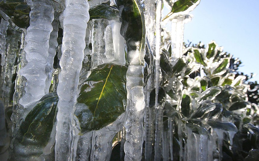 imagini apocaliptice americanii se confrunta cu temperaturi extreme galerie foto 481276 imagini apocaliptice americanii se confrunta cu temperaturi extreme galerie foto 481276