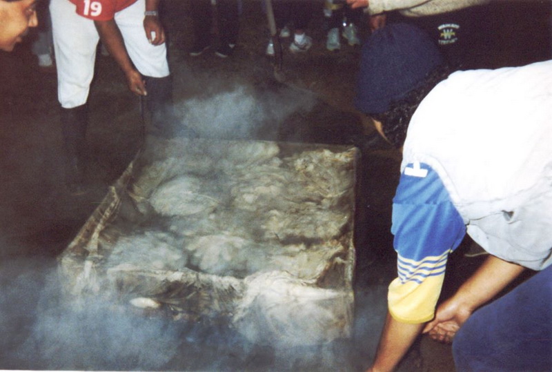 au facut senzatie in fata a zeci de mii de oameni constanteni pe post de vampiri la hong kong galerie au facut senzatie in fata a zeci de mii de oameni constanteni pe post de vampiri la hong kong galerie