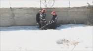 Litoral TV Un bărbat a fost găsit fără suflare într-o râpă de lângă calea ferată din Năvodari