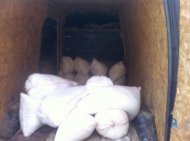 Furt de uree din Portul Constanţa 