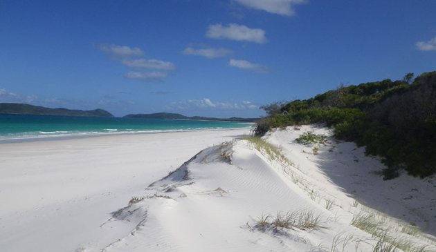 plaja, brazilia, italia, australia, puerto rico