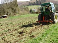 Liviu Dragnea vrea să aducă investitori chinezi în România 