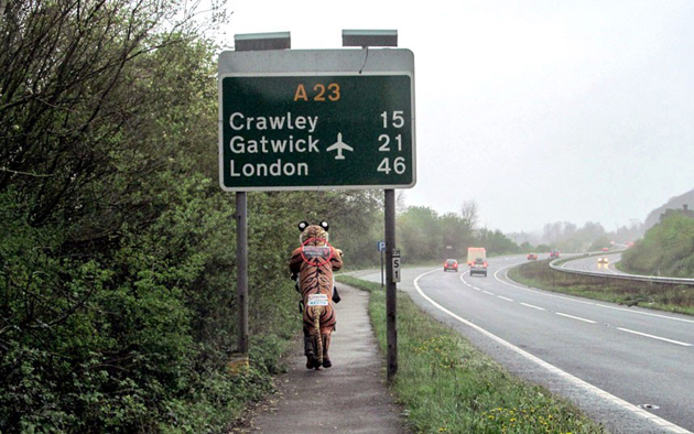 maratonul tigrilor un om cu o misiune importanta galerie foto 490681 maratonul tigrilor un om cu o misiune importanta galerie foto 490681