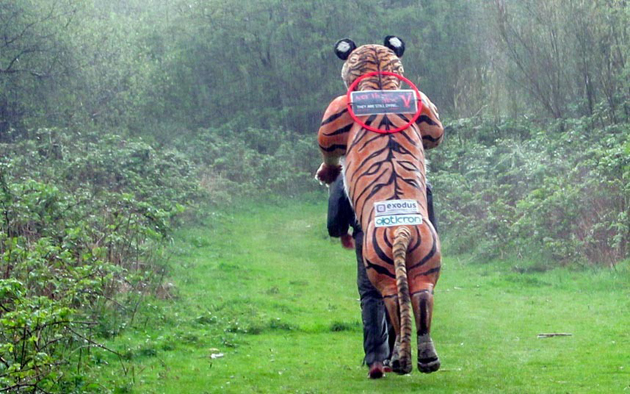 maratonul tigrilor un om cu o misiune importanta galerie foto 490681 maratonul tigrilor un om cu o misiune importanta galerie foto 490681