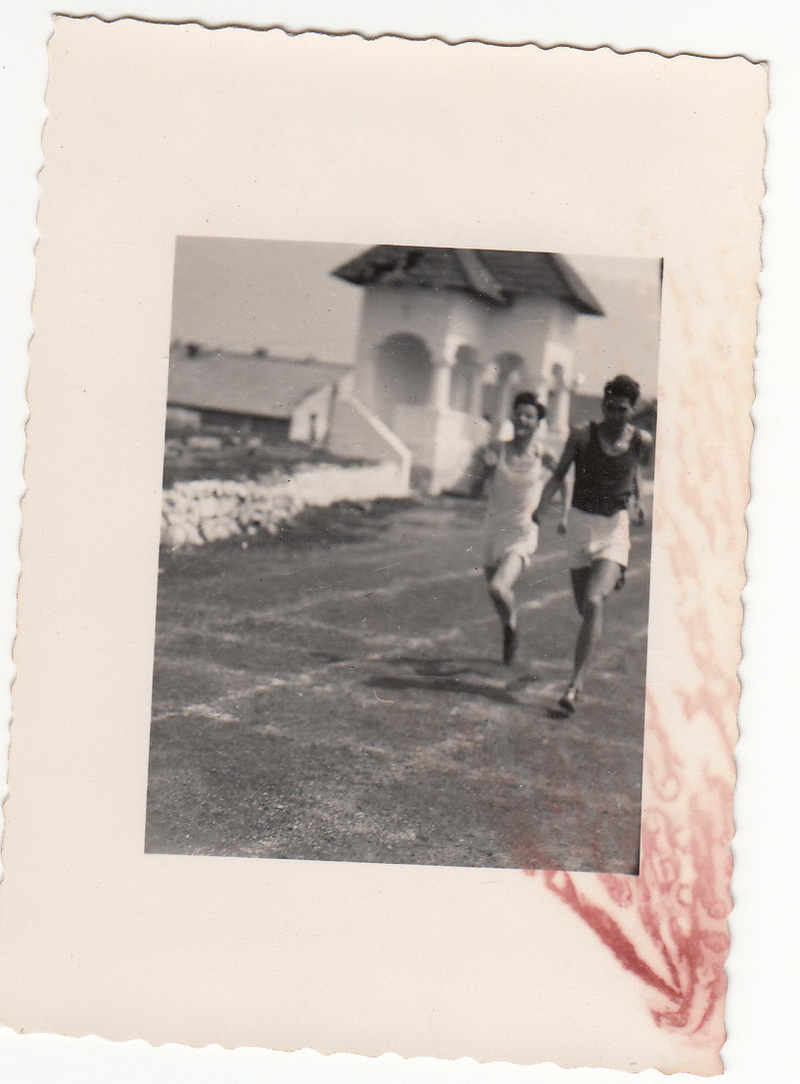 constanteanul care a sapat alaturi de marele voievod implineste astazi 90 de ani povestea salcamului constanteanul care a sapat alaturi de marele voievod implineste astazi 90 de ani povestea salcamului