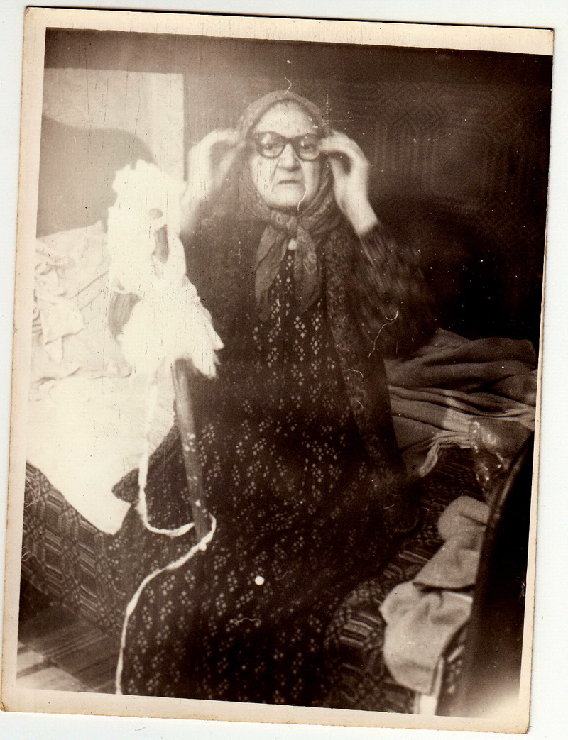 constanteanul care a sapat alaturi de marele voievod implineste astazi 90 de ani povestea salcamului constanteanul care a sapat alaturi de marele voievod implineste astazi 90 de ani povestea salcamului