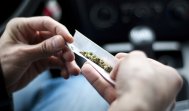 Descopera.ro Consumul chiar şi ocazional de marijuana are efecte devastatoare. Ce se întâmplă în creierul celor care iau acest drog