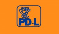 Organizația județeană PDL, în plină campanie electorală pentru europarlamentare  
