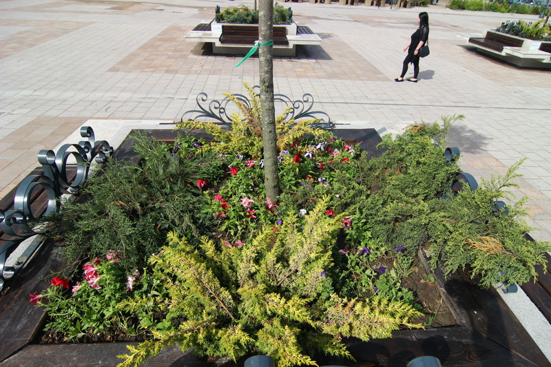 firma olandeza e castigatoarea lucrarilor la digul de larg din portul constanta de ce a sponsorizat van