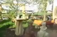 Asta se întamplă când un inginer deține un câine