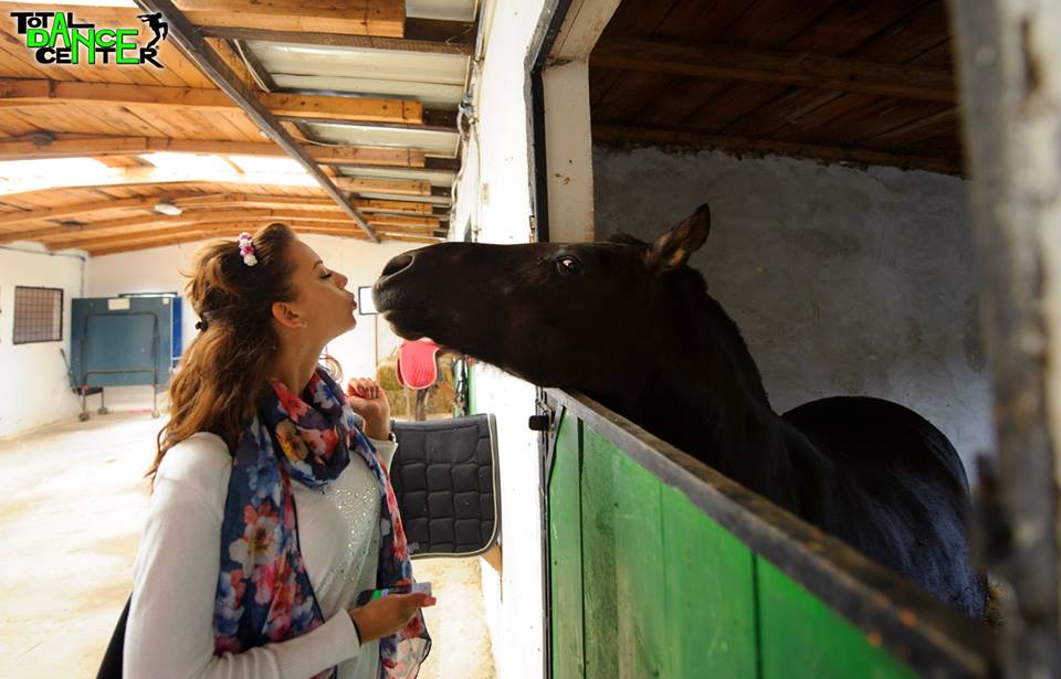 cel mai mare spectacol caritabil care s a realizat in ultimii ani pe litoralul romanesc campania nationala cel mai mare spectacol caritabil care s a realizat in ultimii ani pe litoralul romanesc campania nationala