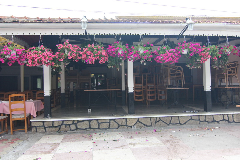 tentativa de omor la casa dobrogeana un individ si a injunghiat rivalul de ocazie in satul de vacanta tentativa de omor la casa dobrogeana un individ si a injunghiat rivalul de ocazie in satul de vacanta