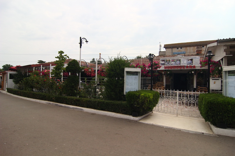 tentativa de omor la casa dobrogeana un individ si a injunghiat rivalul de ocazie in satul de vacanta tentativa de omor la casa dobrogeana un individ si a injunghiat rivalul de ocazie in satul de vacanta