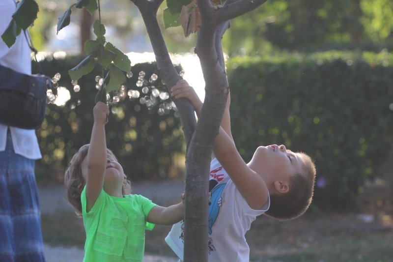 fotoreportaj enoriasii de la sfantul mina au sarbatorit 20 de ani de la ctitorire 505236 fotoreportaj enoriasii de la sfantul mina au sarbatorit 20 de ani de la ctitorire 505236