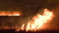 UPDATE Vegetație cuprinsă de flăcări în Nisipari   