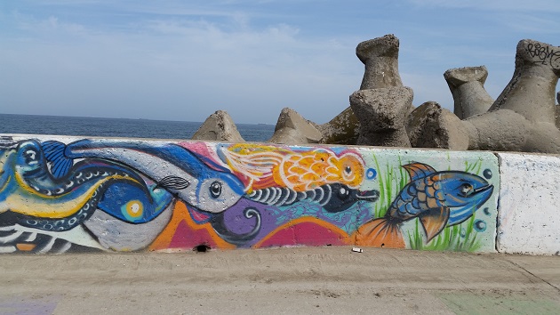 cum arata pista pentru biciclisti din portul constanta galerie foto 505457 cum arata pista pentru biciclisti din portul constanta galerie foto 505457