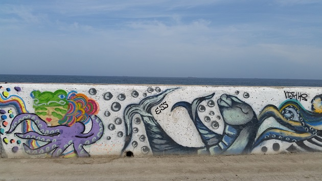 cum arata pista pentru biciclisti din portul constanta galerie foto 505457 cum arata pista pentru biciclisti din portul constanta galerie foto 505457